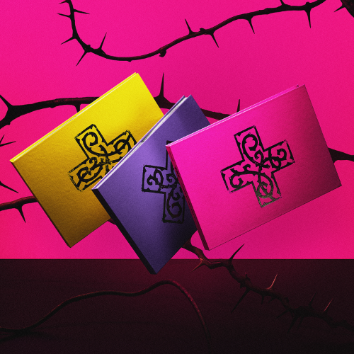 TXT – 7TH YEAR : A Moment of Stillness in the Thorns