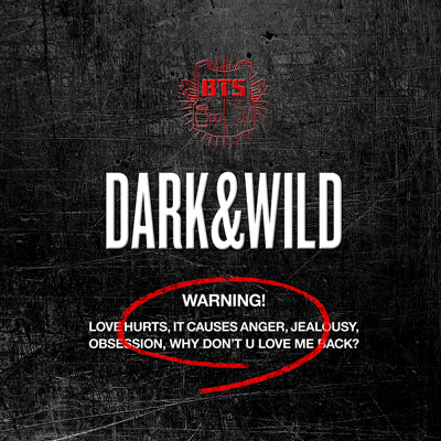 BTS – DARK & WILD (1st Album)